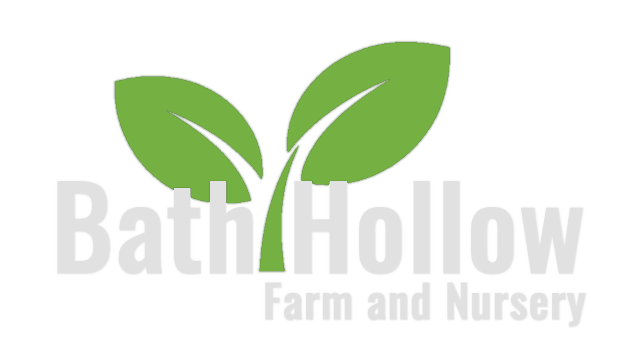 Bath Hollow Farm and Nursery